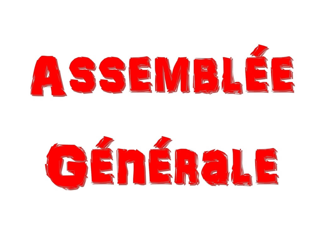 Assemblée Générale Image Redimensionnée